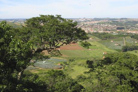 #PraCegoVer: Foto mostra parte da Serra dos Cocais, com muito verde e parte da cidade ao fundo, com várias construções.
